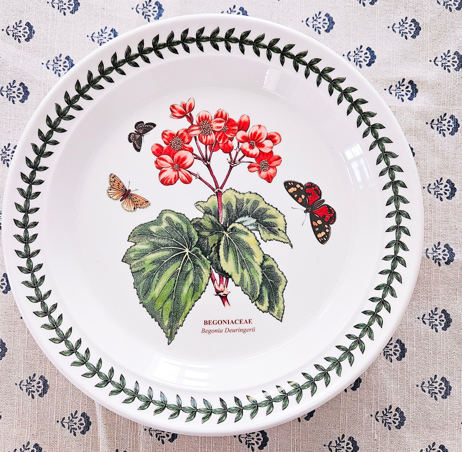 Begonia Botanical Salad Plate