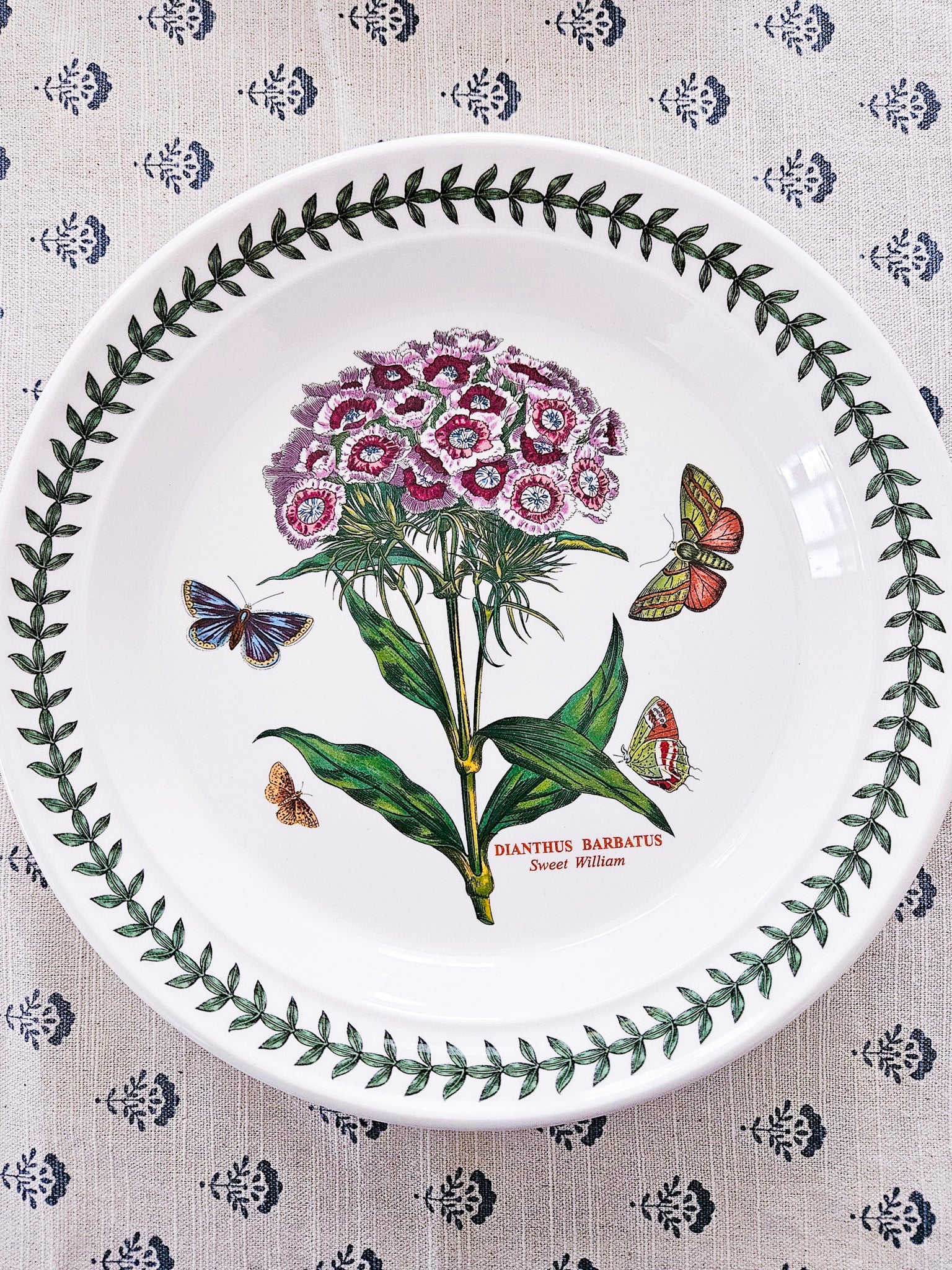 Sweet William Botanical Salad Plate