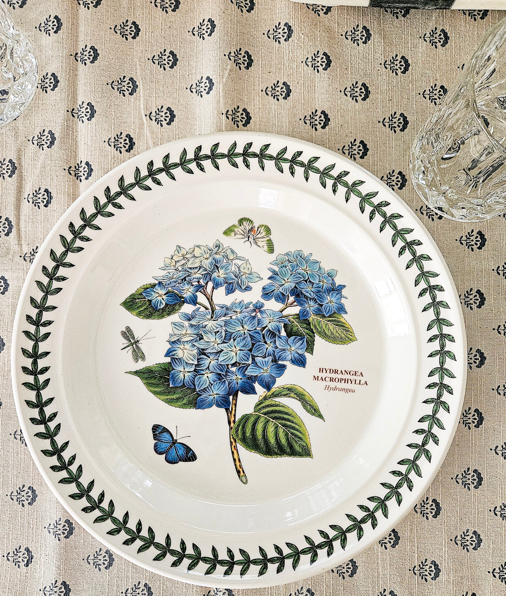 Hydrangea Dinner Plate
