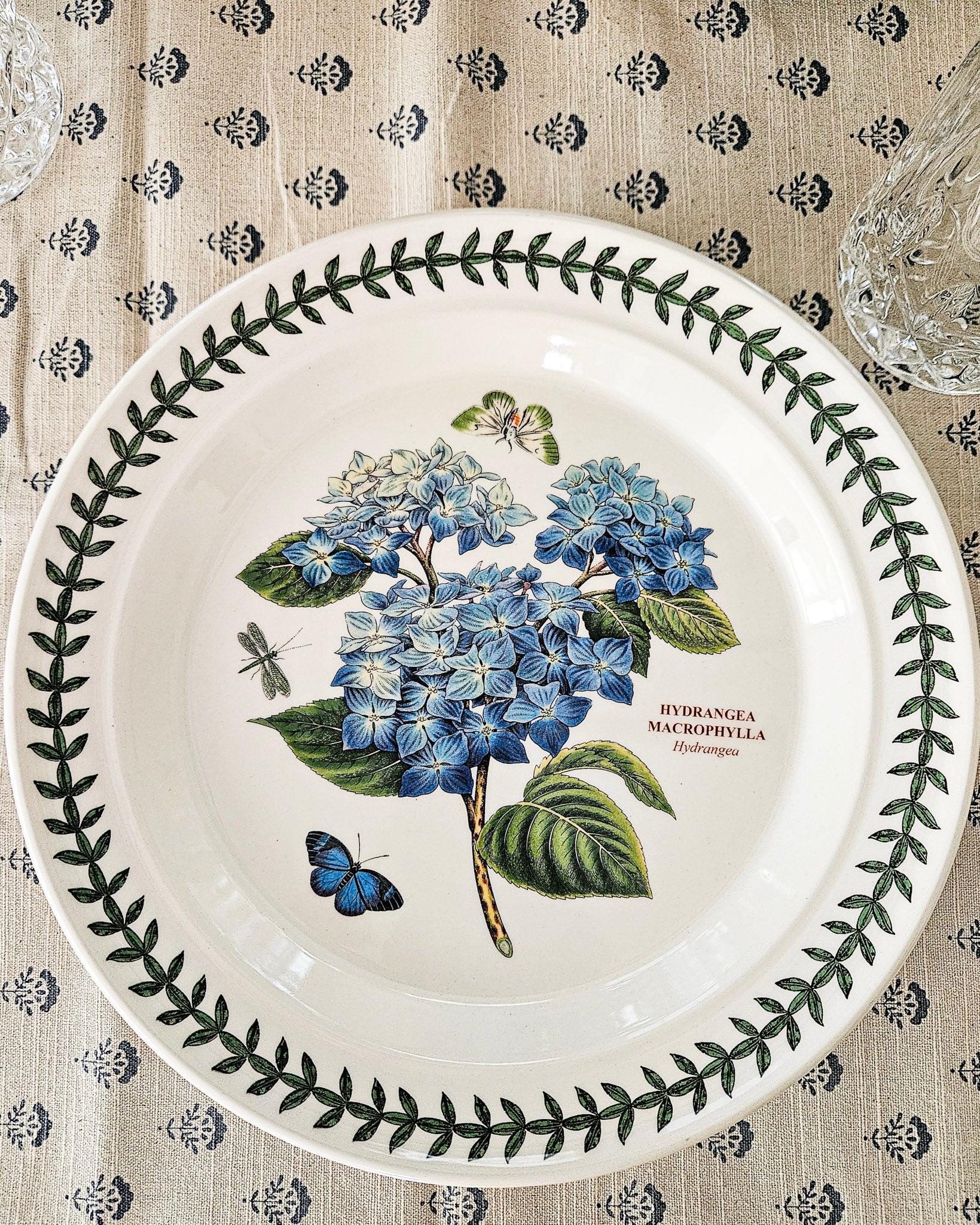 Hydrangea Dinner Plate