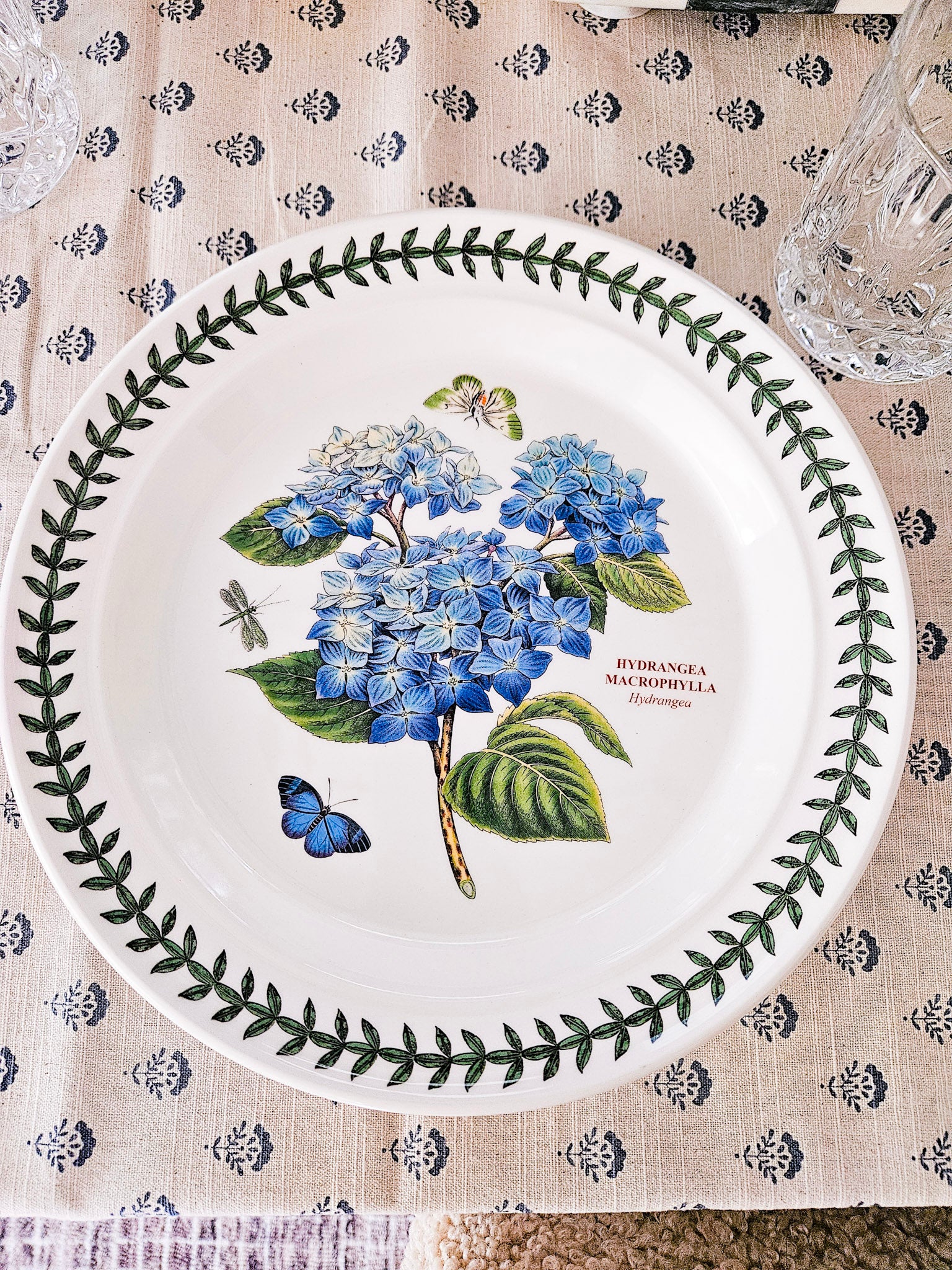 Hydrangea Dinner Plate