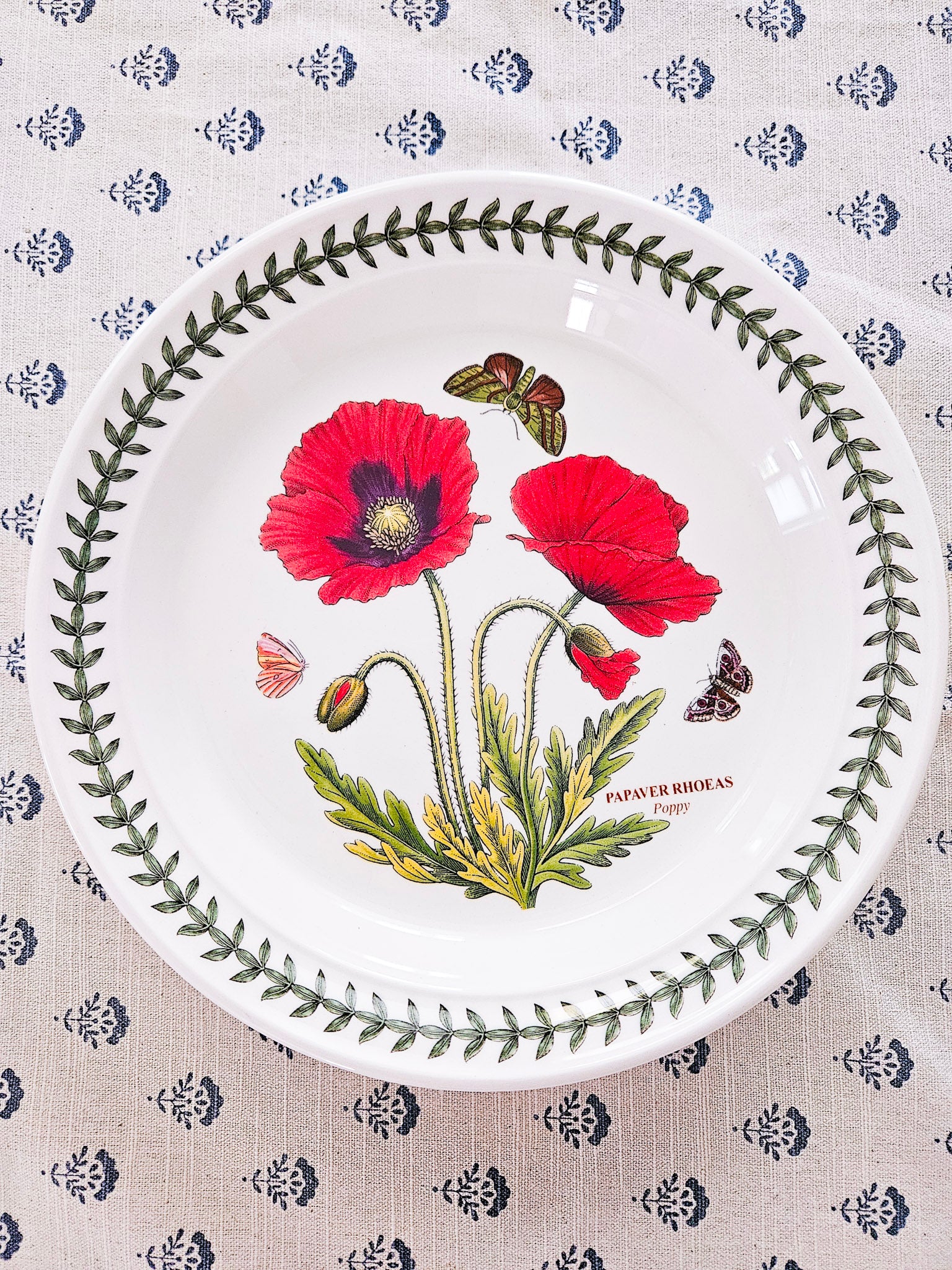 Poppy Botanical Salad Plate