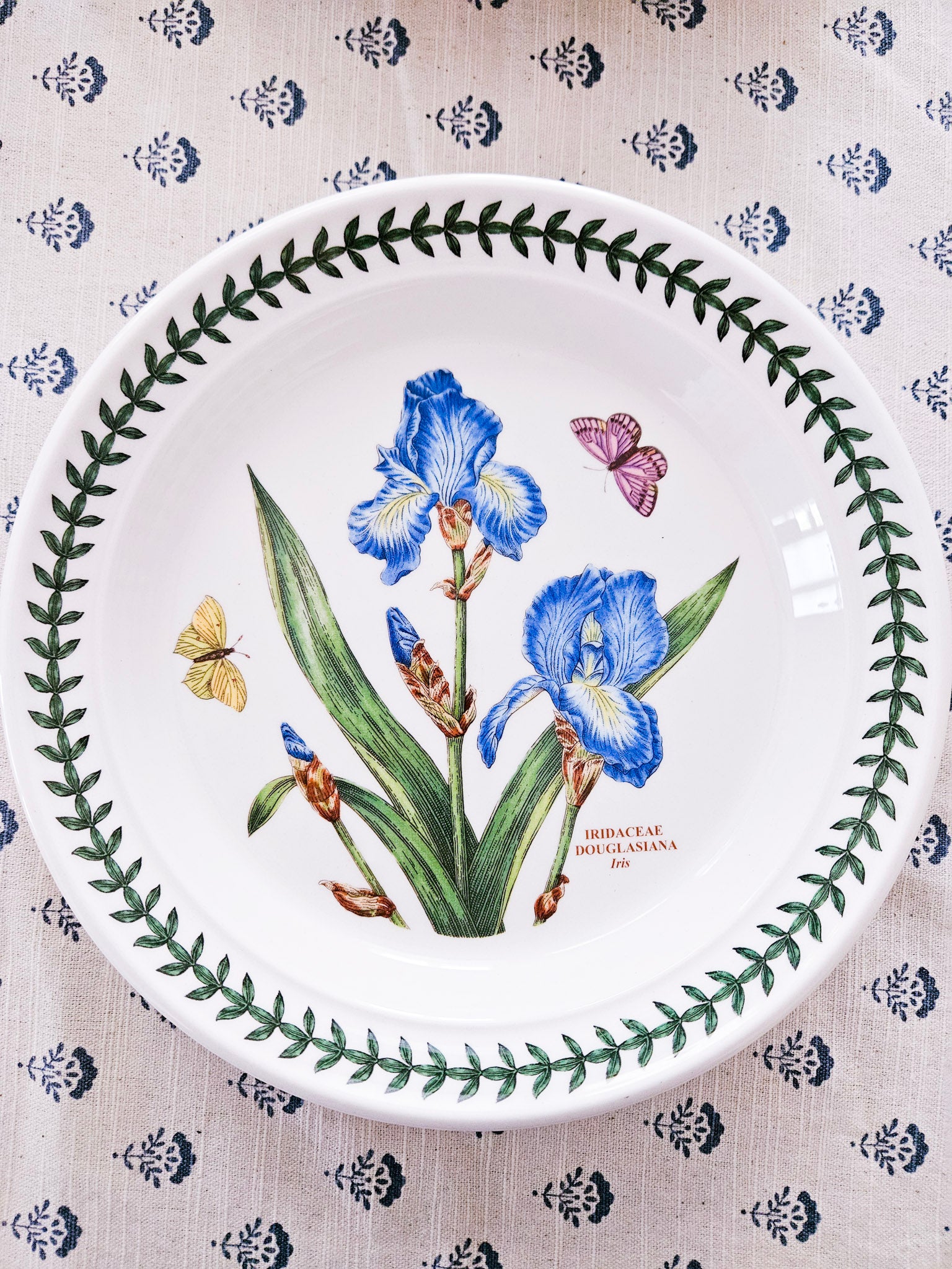 Iris Botanical Salad Plate